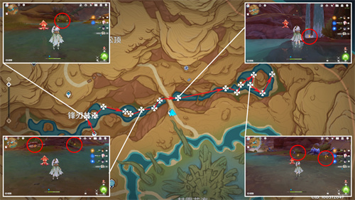 原神悼靈花采集路線圖 悼靈花刷新時間分享