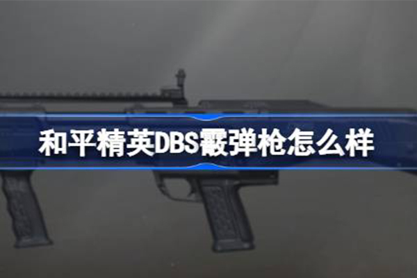 和平精英dbs屬性